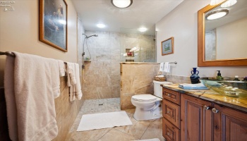 Owners ensuite bath with level entry shower