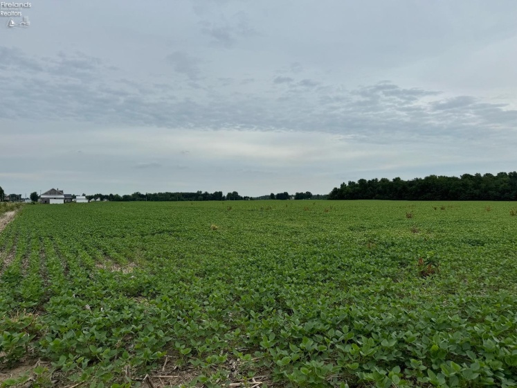 12698 Fostoria Road, Bradner, 43406, ,Land,For Sale,Fostoria,20242386