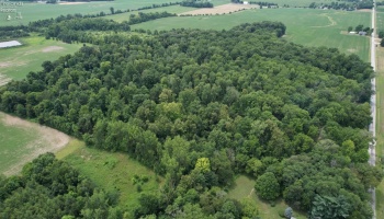 0 County Hwy 16, Sycamore, 44882, ,Land,For Sale,County Hwy 16,20242649