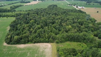 0 County Hwy 16, Sycamore, 44882, ,Land,For Sale,County Hwy 16,20242649