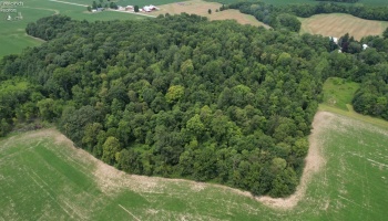 0 County Hwy 16, Sycamore, 44882, ,Land,For Sale,County Hwy 16,20242649