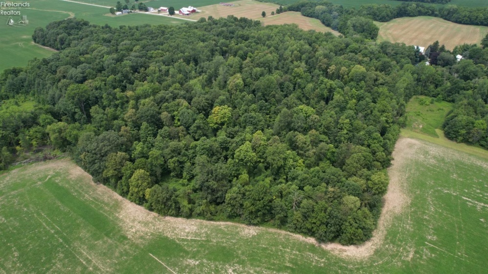 0 County Hwy 16, Sycamore, 44882, ,Land,For Sale,County Hwy 16,20242649