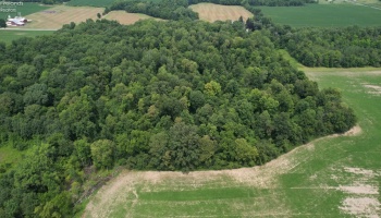 0 County Hwy 16, Sycamore, 44882, ,Land,For Sale,County Hwy 16,20242649