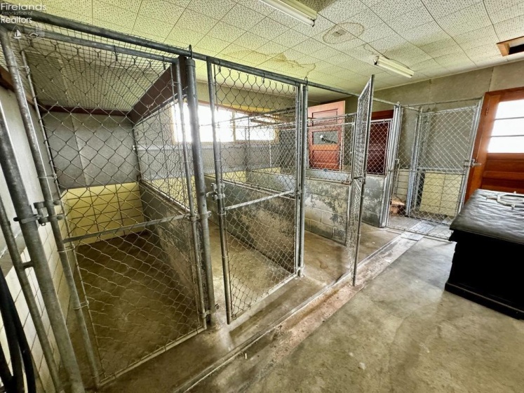 Back room of Veterinary Clinic