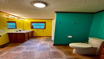 3785 C.R. 234, Fremont, 43420, 3 Bedrooms Bedrooms, ,3 BathroomsBathrooms,Residential,For Sale,C.R. 234,20242569