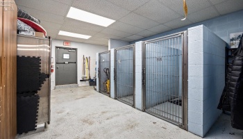 Kennel space area/ storage