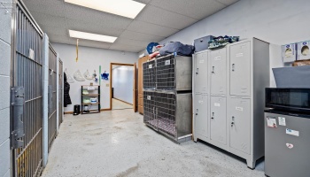 Kennel area/storage area