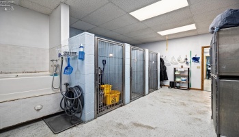 Kennel area/ lifted tub/wash area