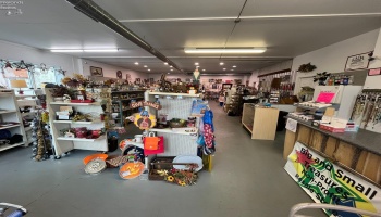 29 Hester Street, Norwalk, 44857, ,Commercial,For Sale,Hester,20242238