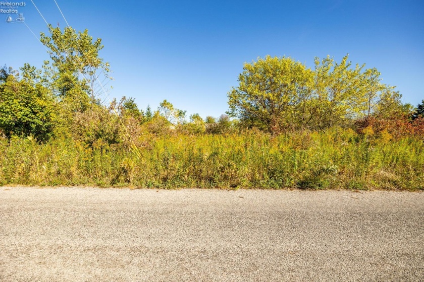 121 Fernwood, Kelleys Island, 43438, ,Land,For Sale,Fernwood,20243702