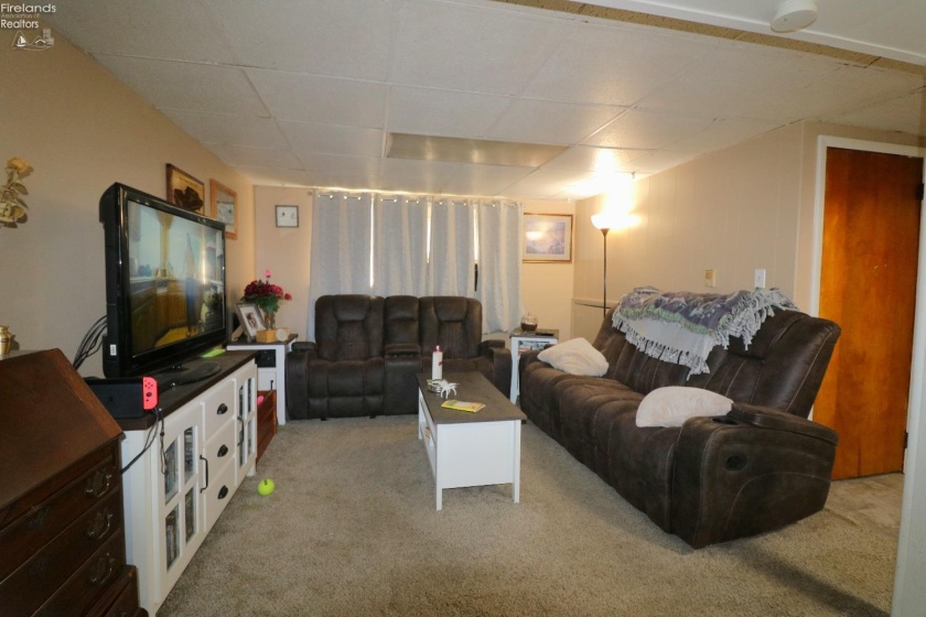 Lower level family room