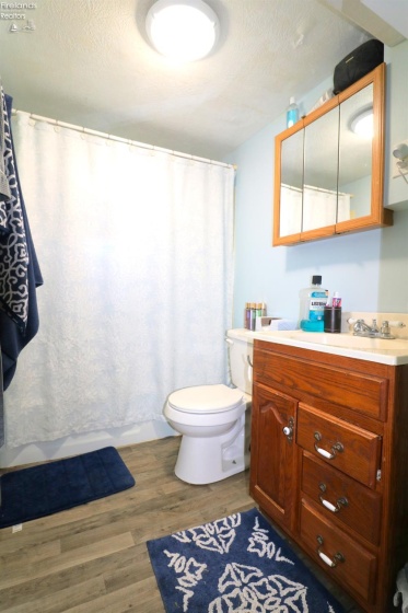 Lower level bathroom