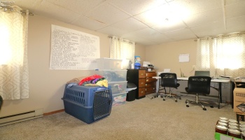 Lower level bedroom/office