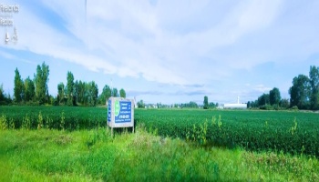 1074 Co. Rd 236, Clyde, 43410, ,Land,For Sale,Co. Rd 236,20244093 1074 Co. Rd 236, Clyde, 43410, ,Land,For Sale,Co. Rd 236,20244093