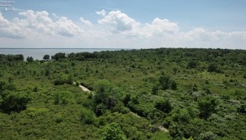 0 Bayshore Rd, Marblehead, 43440, ,Land,For Sale,Bayshore Rd,20244209