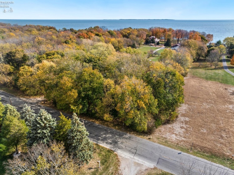 70 Niese Place, Put-In-Bay, 43456, 3 Bedrooms Bedrooms, ,2 BathroomsBathrooms,Residential,For Sale,Niese Place,20244090