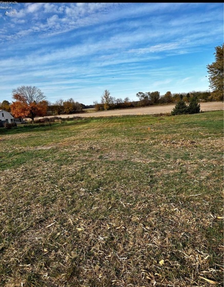 0 3610 County Road 195, Clyde, 44811, ,Land,For Sale,3610 County Road 195,20250387