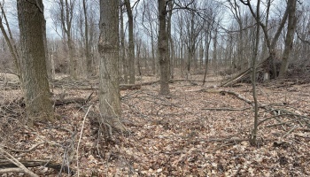 0 State Route 162, North Fairfield, 44855, ,Land,For Sale,State Route 162,20250663