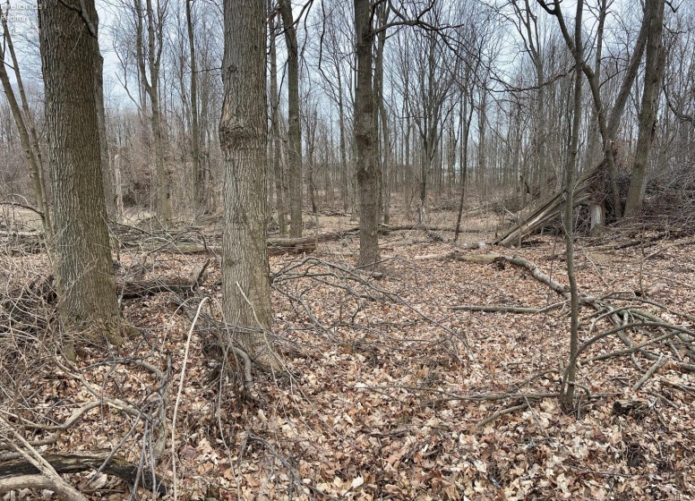 0 State Route 162, North Fairfield, 44855, ,Land,For Sale,State Route 162,20250663