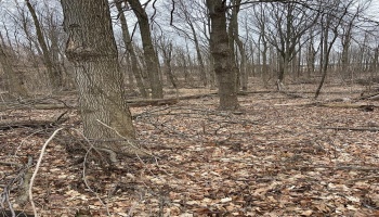 0 State Route 162, North Fairfield, 44855, ,Land,For Sale,State Route 162,20250663