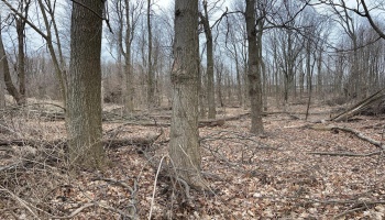 0 State Route 162, North Fairfield, 44855, ,Land,For Sale,State Route 162,20250663