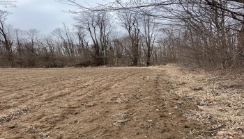 0 State Route 162, North Fairfield, 44855, ,Land,For Sale,State Route 162,20250663