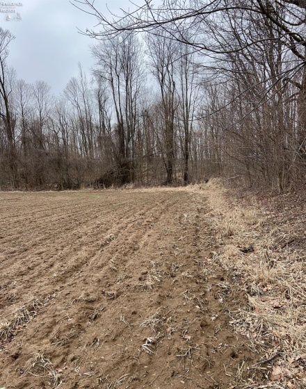0 State Route 162, North Fairfield, 44855, ,Land,For Sale,State Route 162,20250663
