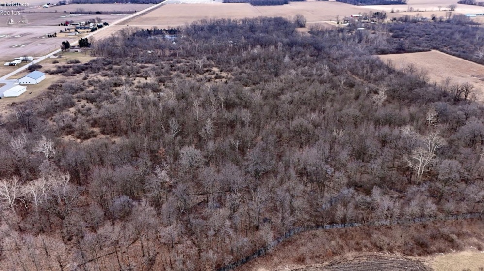 0 County Road 32, Helena, 43435, ,Land,For Sale,County Road 32,20250685