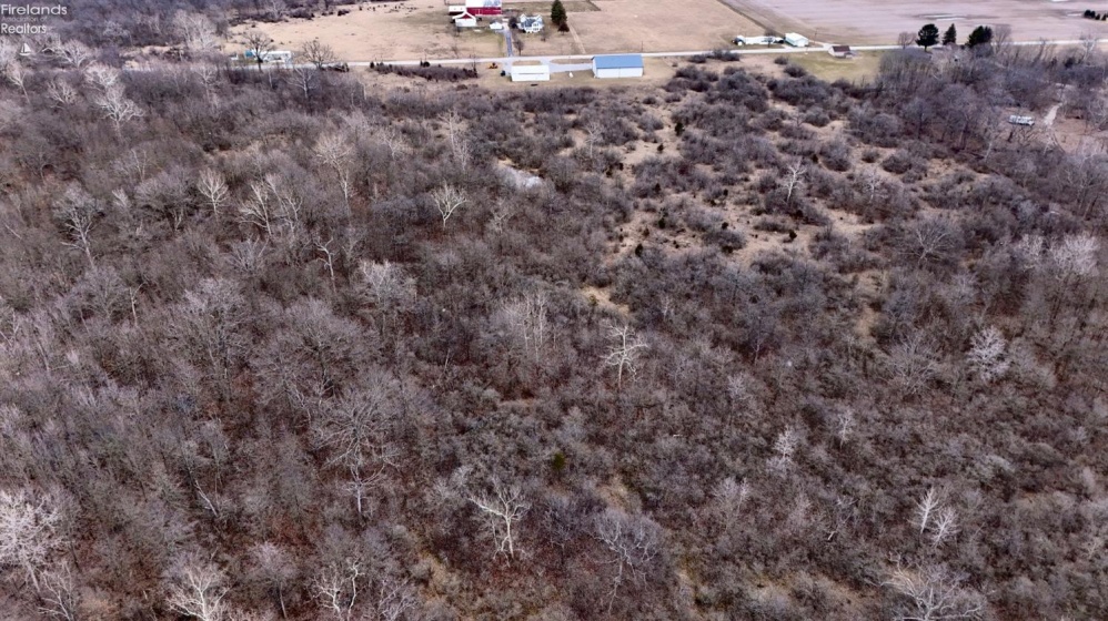 0 County Road 32, Helena, 43435, ,Land,For Sale,County Road 32,20250685
