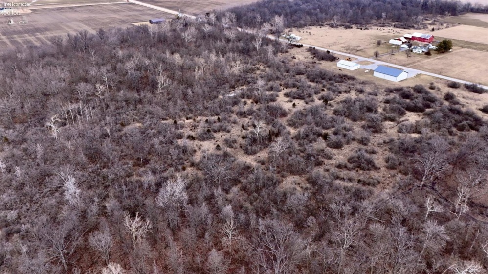 0 County Road 32, Helena, 43435, ,Land,For Sale,County Road 32,20250685