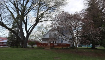 115 Main Street, New London, 44851, 4 Bedrooms Bedrooms, ,2 BathroomsBathrooms,Residential,For Sale,Main,20250806