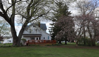 115 Main Street, New London, 44851, 4 Bedrooms Bedrooms, ,2 BathroomsBathrooms,Residential,For Sale,Main,20250806