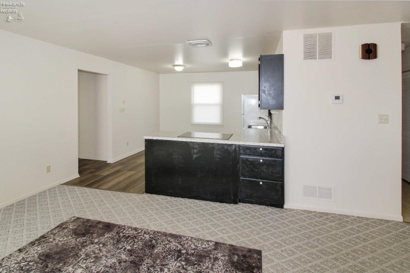 424 Short Street, Port Clinton, 43452, 3 Bedrooms Bedrooms, ,2 BathroomsBathrooms,Residential,For Sale,Short,20251044