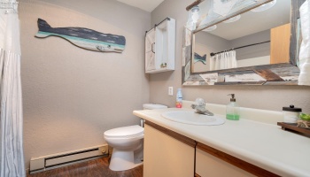 6463 Teal, Oak Harbor, 43449, 1 Bedroom Bedrooms, ,1 BathroomBathrooms,Residential,For Sale,Teal,20251231