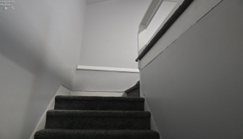 5 Reed Street, Norwalk, 44857, 3 Bedrooms Bedrooms, ,1 BathroomBathrooms,Residential,For Sale,Reed,20251237