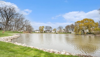 backyard pond