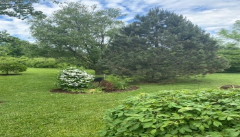 5971 Bayshore Road, Marblehead, 43440, 3 Bedrooms Bedrooms, ,3 BathroomsBathrooms,Residential,For Sale,Bayshore,20251154