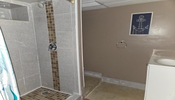 Full Shower in Basement