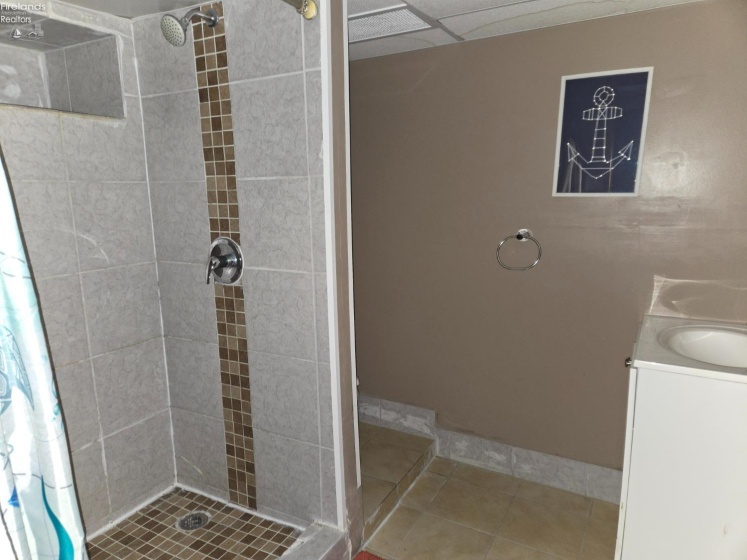Full Shower in Basement