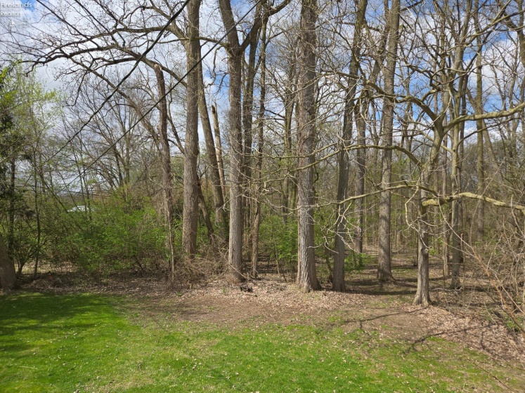 235 Front, Tiffin, 44883, 4 Bedrooms Bedrooms, ,3 BathroomsBathrooms,Residential,For Sale,Front,20251425