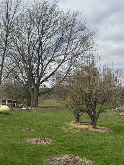 796 US HWY 224, Willard, 44890, 5 Bedrooms Bedrooms, ,2 BathroomsBathrooms,Residential,For Sale,US HWY 224,20251416