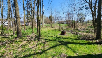 39 Lewis Street, Tiffin, 44883, 3 Bedrooms Bedrooms, ,2 BathroomsBathrooms,Residential,For Sale,Lewis,20251478