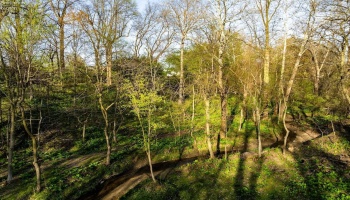 4107 State Route 113, Milan, 44846, 5 Bedrooms Bedrooms, ,3 BathroomsBathrooms,Residential,For Sale,State Route 113,20251462