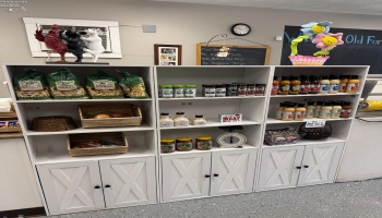 8080 MAIN Street, Old Fort, 44861, ,Commercial,For Sale,MAIN,20251589