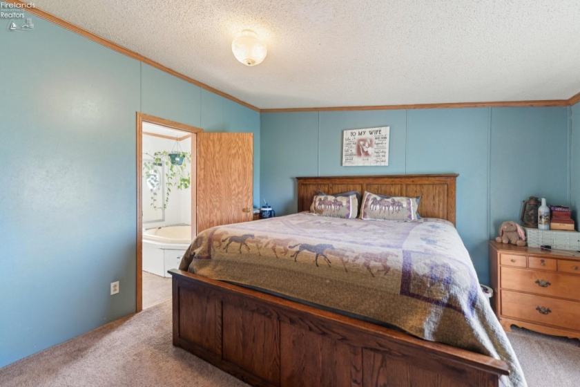 6874 County Road 11, Rising Sun, 43457, 3 Bedrooms Bedrooms, ,2 BathroomsBathrooms,Residential,For Sale,County Road 11,20251385
