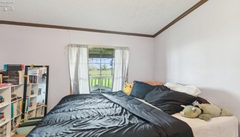 6874 County Road 11, Rising Sun, 43457, 3 Bedrooms Bedrooms, ,2 BathroomsBathrooms,Residential,For Sale,County Road 11,20251385 6874 County Road 11, Rising Sun, 43457, 3 Bedrooms Bedrooms, ,2 BathroomsBathrooms,Residential,For Sale,County Road 11,20251385