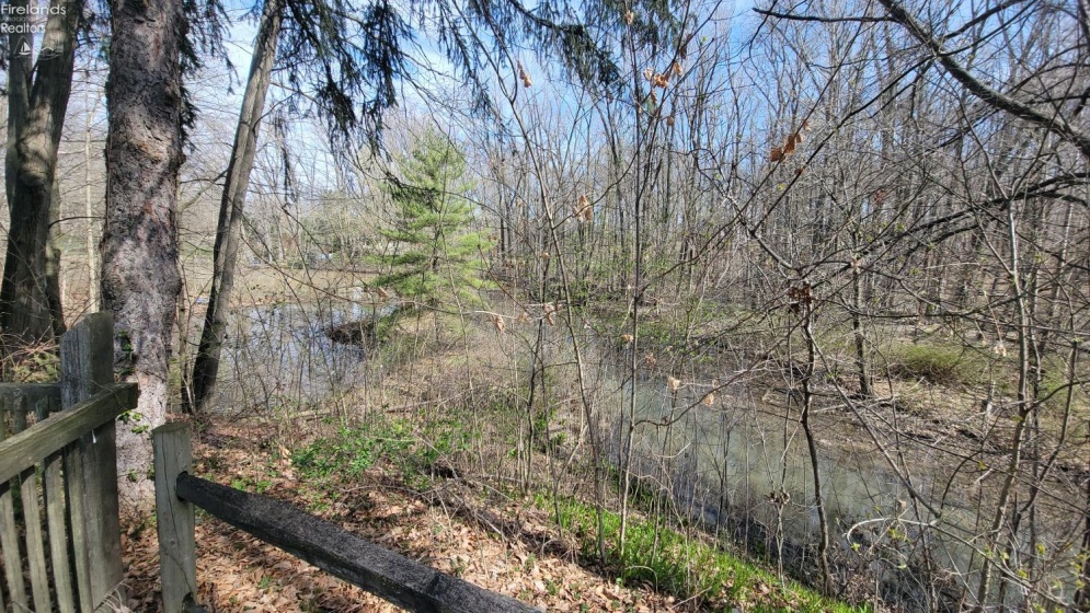 Majestic view out over the marsh and Lake Mohawk