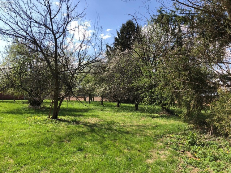 510 Sandusky St, Other, 43359, ,2 BathroomsBathrooms,Residential,For Sale,Sandusky St,20251374