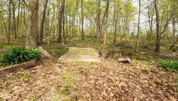 1440 State Route 19, Republic, 44867, 5 Bedrooms Bedrooms, ,3 BathroomsBathrooms,Residential,For Sale,State Route 19,20251560