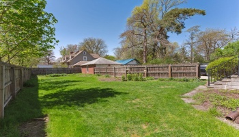 Garden with full privacy fence with daffodils and other perennials
